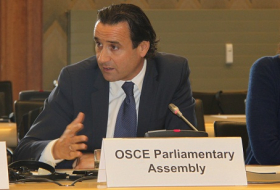 New OSCE PA secretary general elected